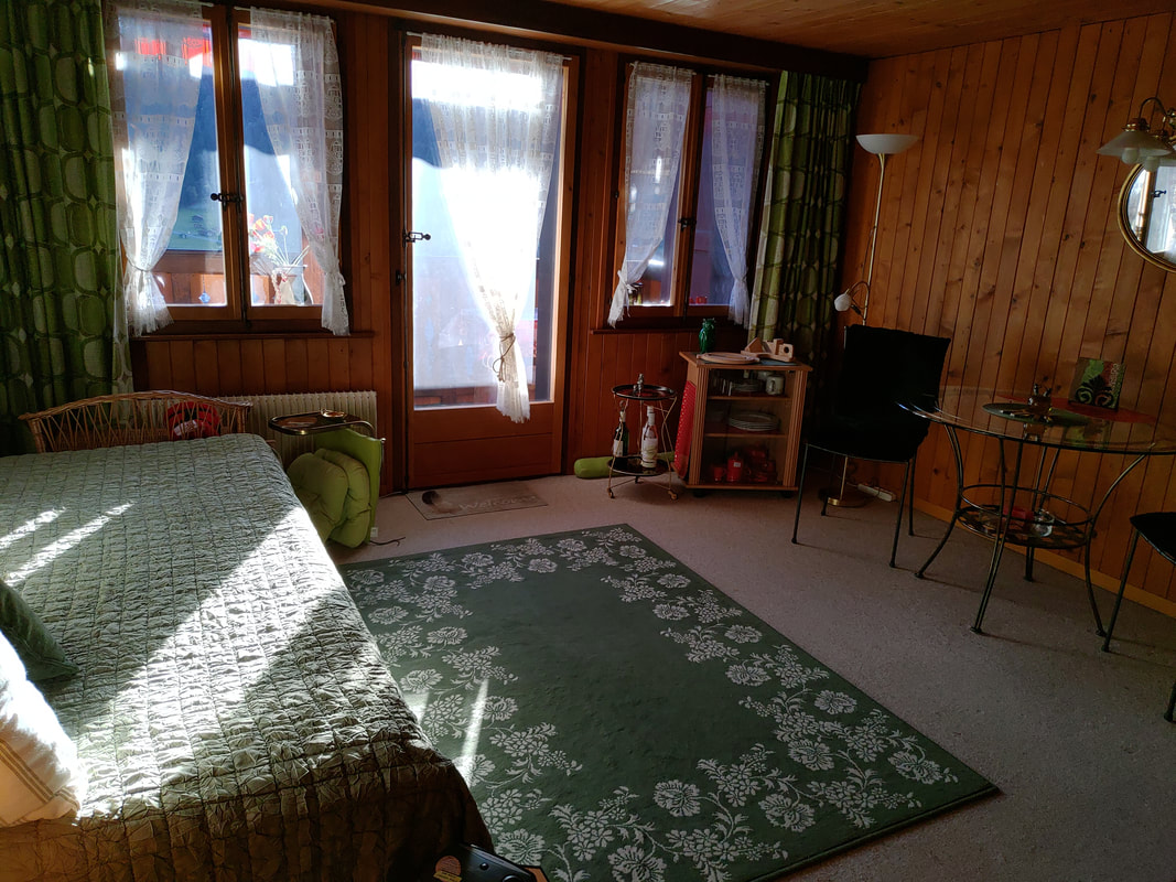 la pièce à vivre et à dormir- / - living and sleeping area