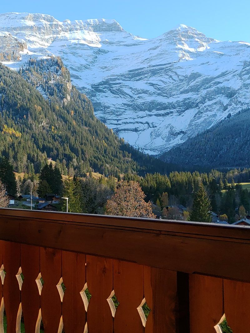 saupoudrage des premières neiges de novembre, la vue depuis le studio - / - dusting of the first snows of November, the view from the studio