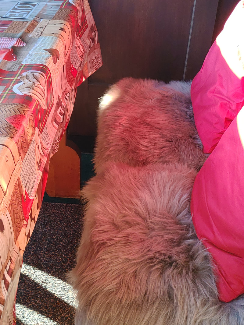 ---avec peau de mouton sous les fesses et plumes de canard dans le dos - / - with sheepskin under the bottom and duck feathers on the back