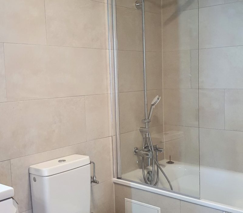 with bath tub and rain shower