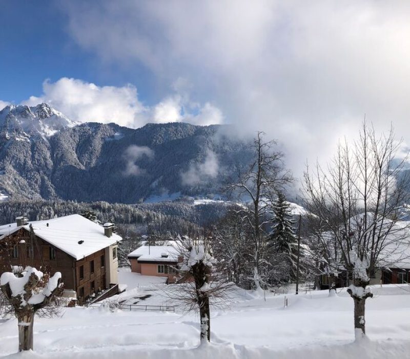 view from studio in winter