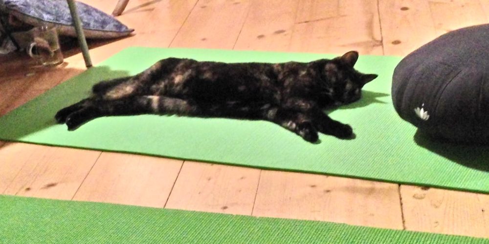 p-20180601-222645-hdr_orig