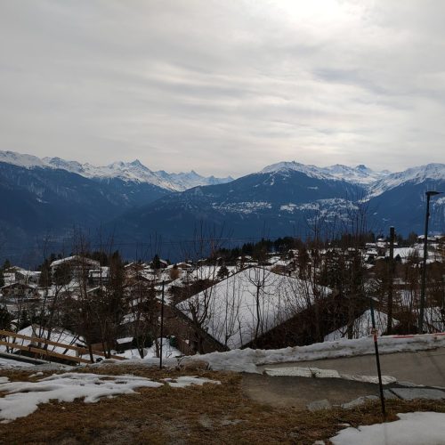 p-20220224-120359_orig