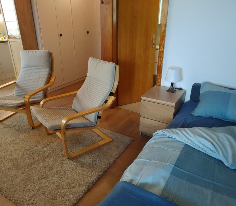 safa bed can be let opened and loung still use