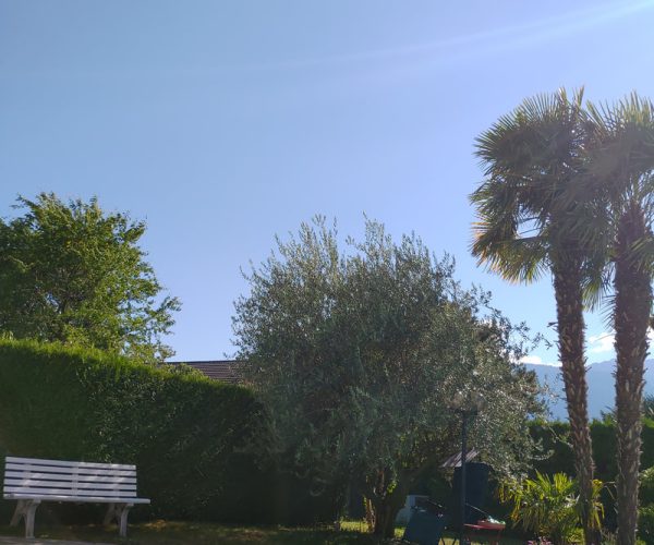 et bien sur l'accès à la piscine