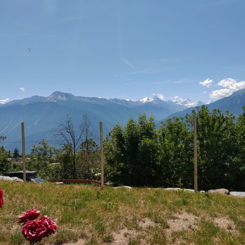 p-20220712-115811_orig