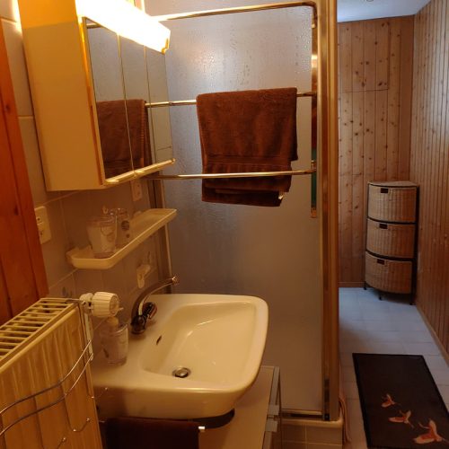 showercorner in the room