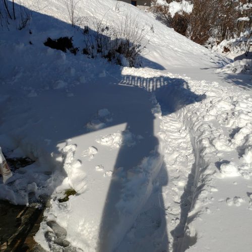 en hiver - in winter
