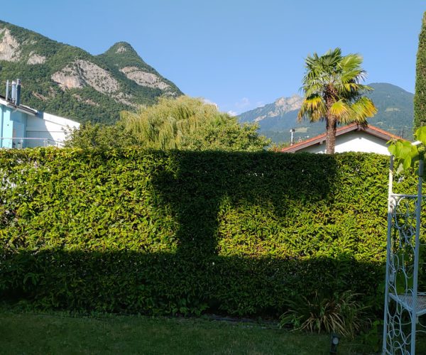 la vue ensoleillée de votre 1er matin
