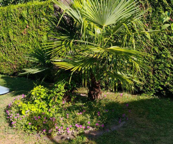 une fois installé, prenez le temps de découvrir votre petit environnement